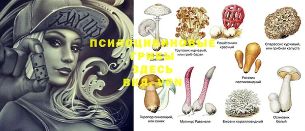 PSILOCYBIN Горнозаводск
